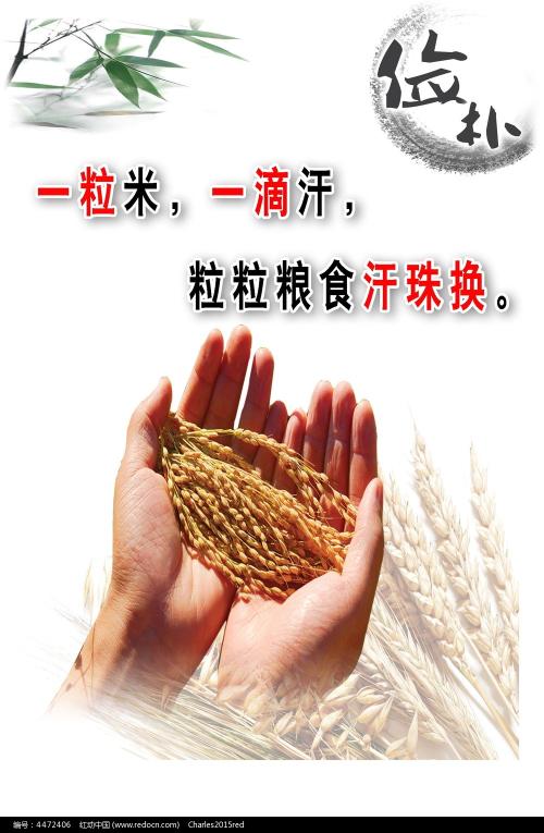 Colorado College物理学文凭证书